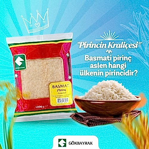 Sosyal Medya tasarımları