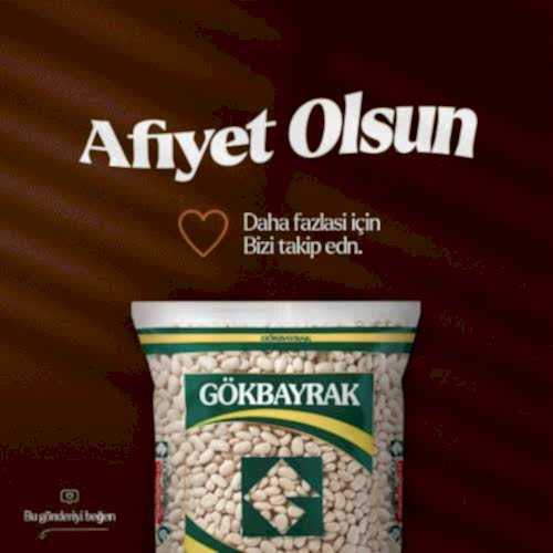 Sosyal Medya tasarımları