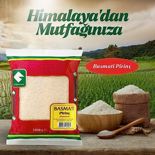 Sosyal Medya tasarımları